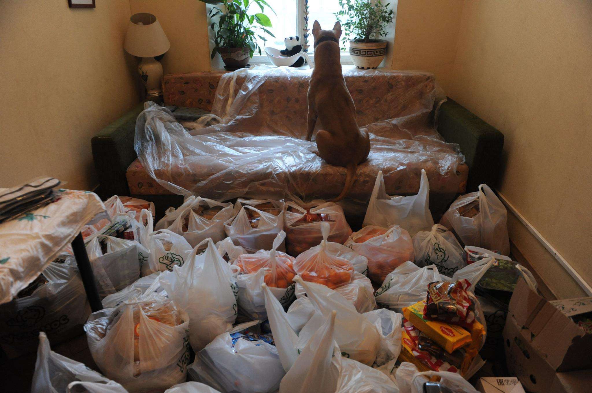 Все буде Україна