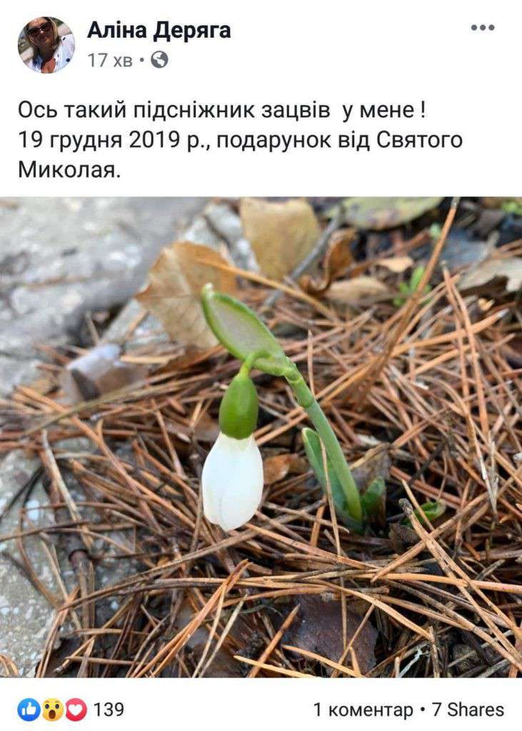 Все буде Україна