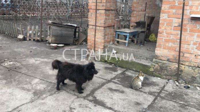 Все буде Україна