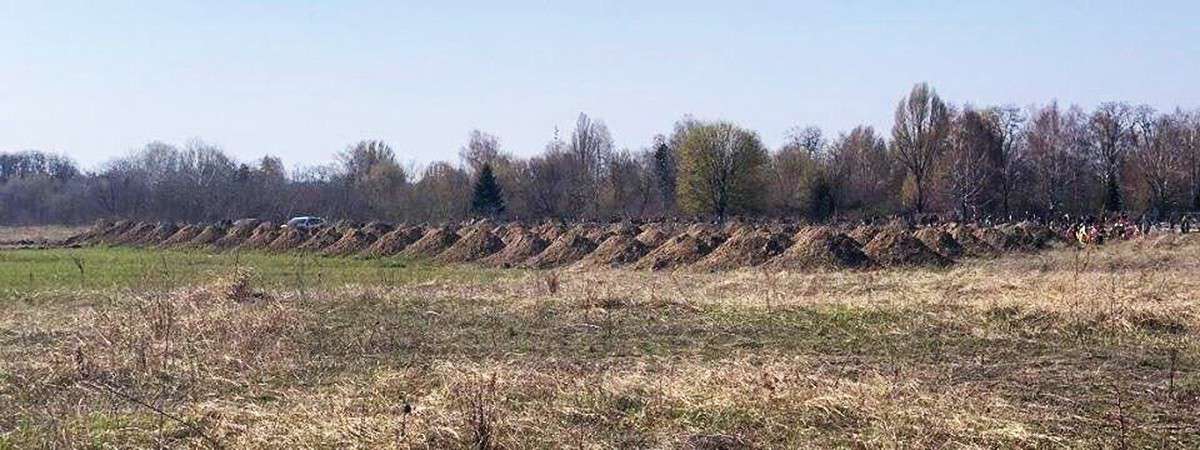 Все буде Україна