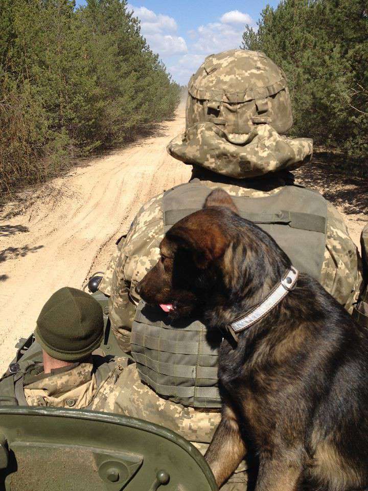 Все буде Україна