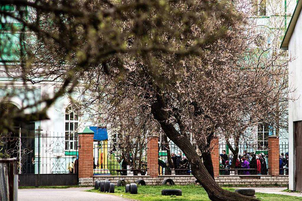 Все буде Україна