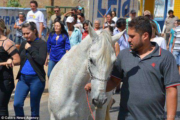 Все буде Україна