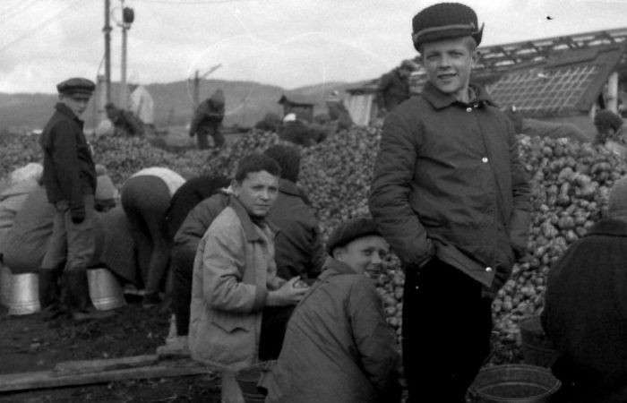 Все буде Україна