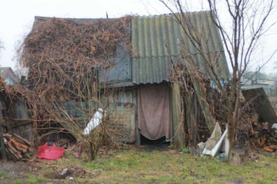 Все буде Україна