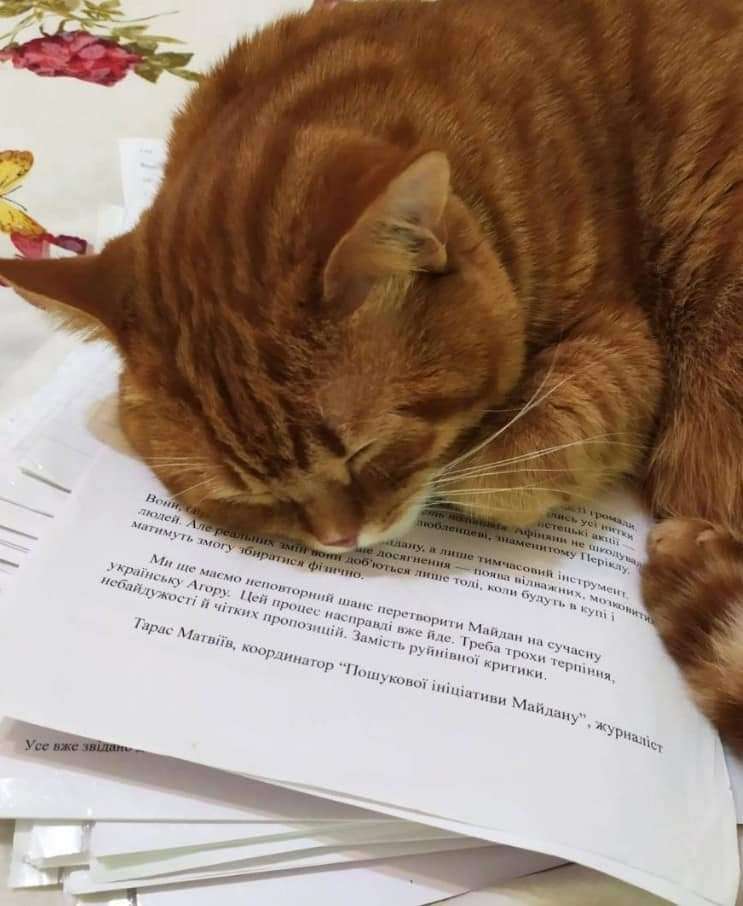 Все буде Україна