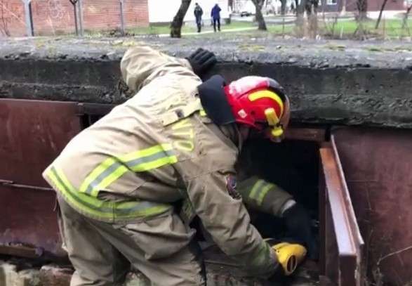 Все буде Україна