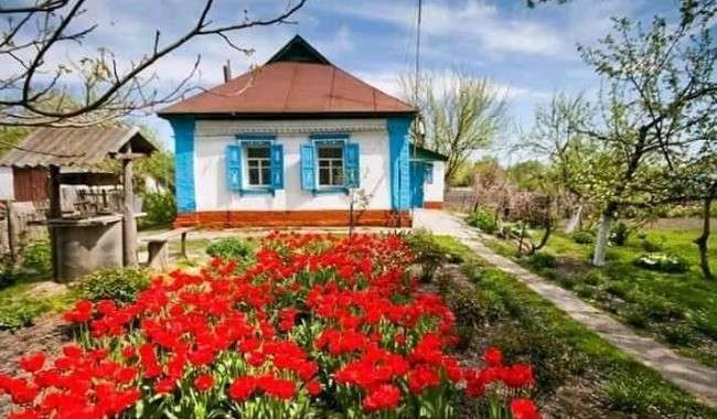 Все буде Україна