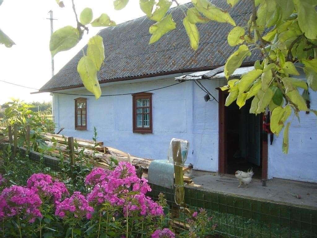 Все буде Україна