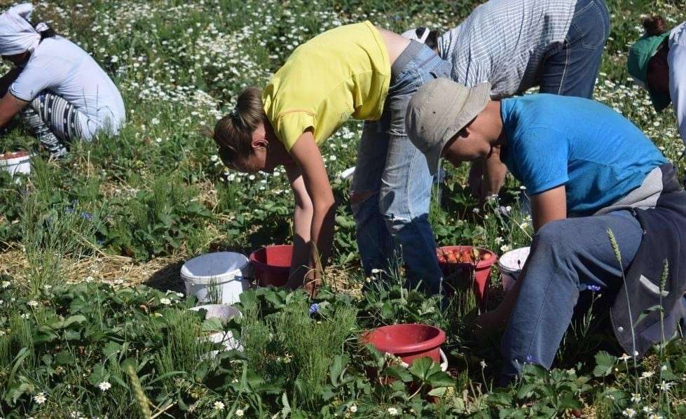 Все буде Україна