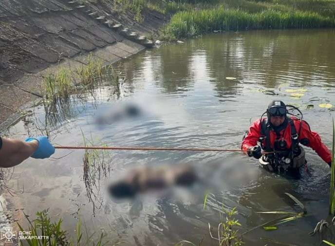 Все буде Україна