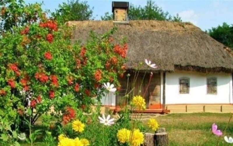 Все буде Україна