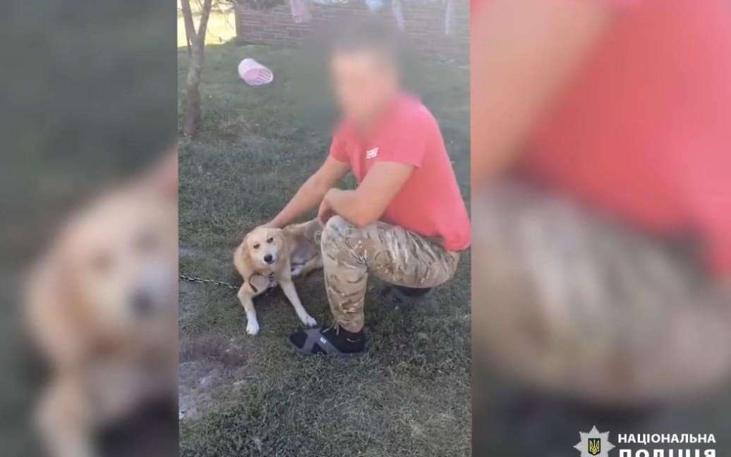 Все буде Україна