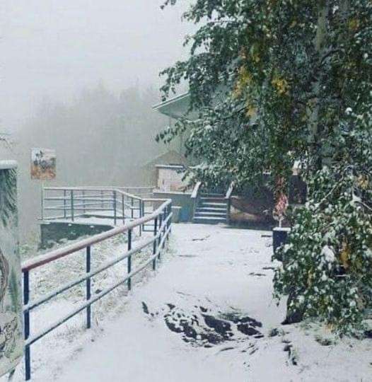 Все буде Україна