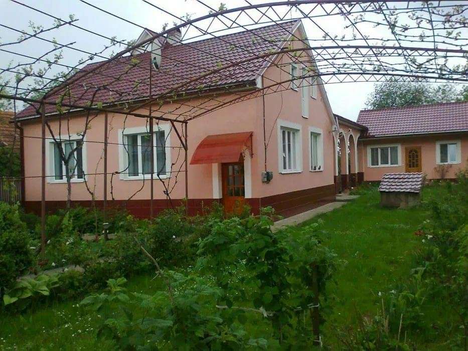Все буде Україна