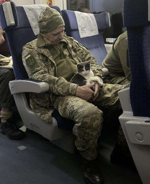 Все буде Україна
