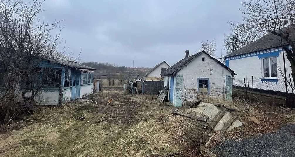 Все буде Україна