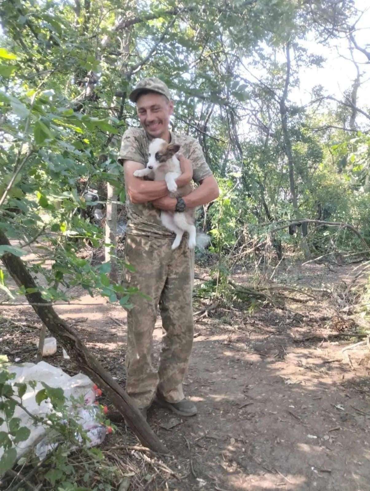 Все буде Україна