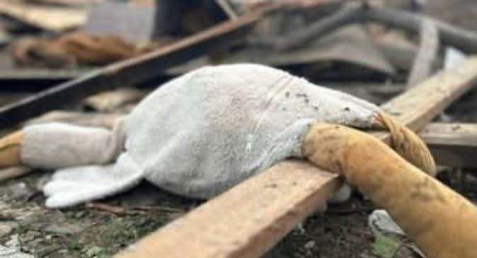 Все буде Україна