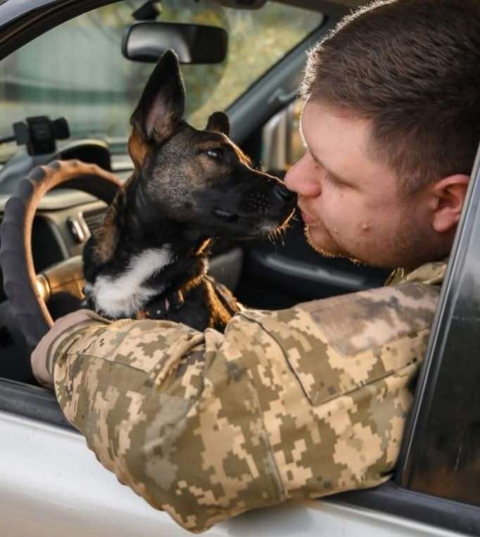 Все буде Україна