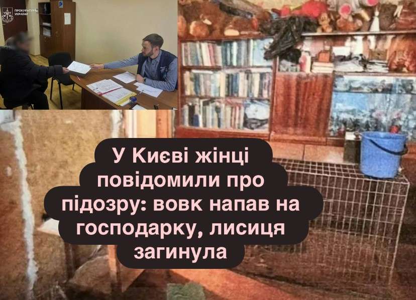 Все буде Україна