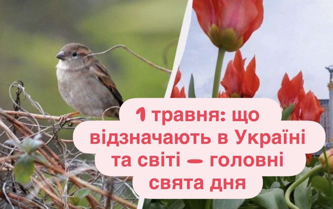 Все буде Україна