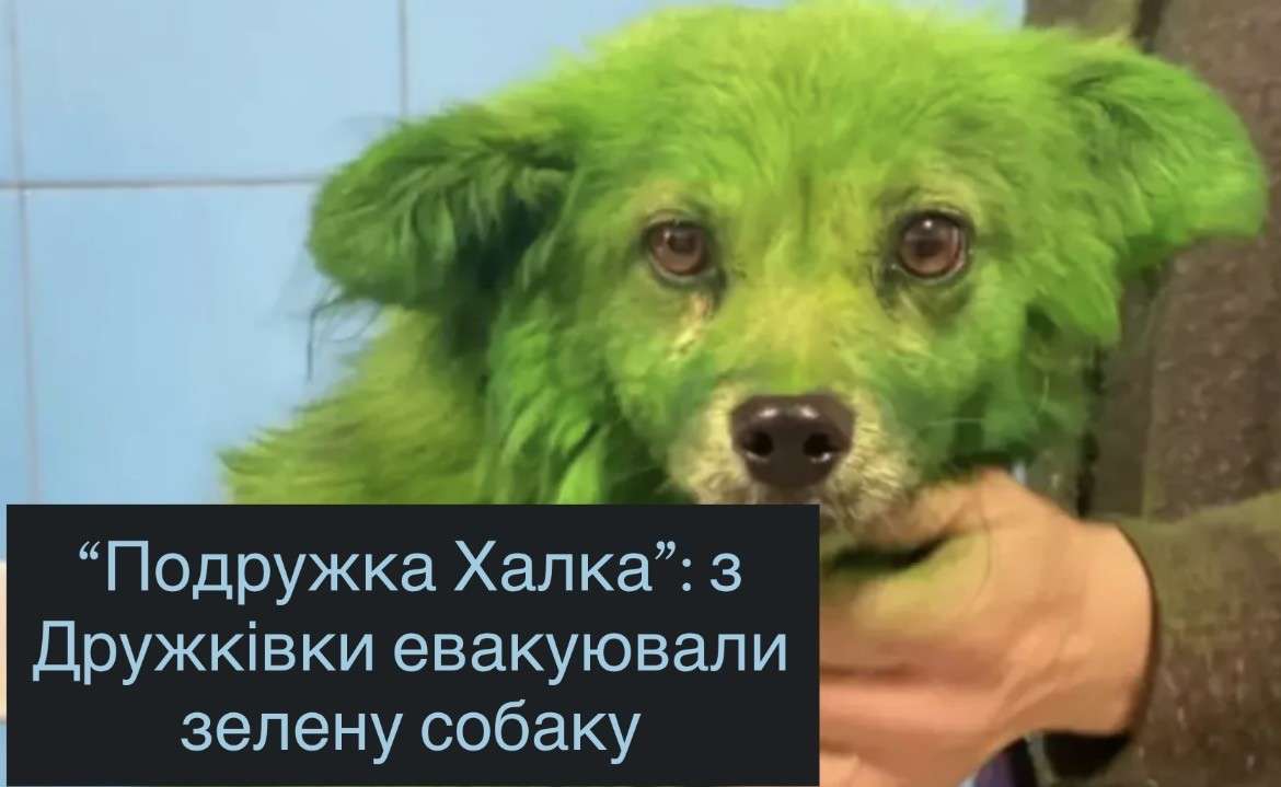 Все буде Україна