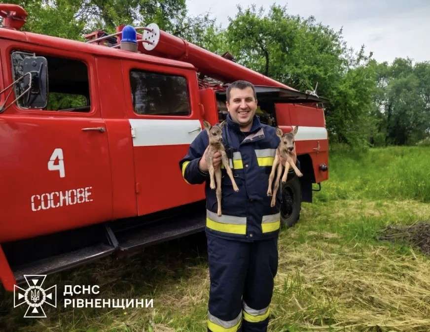 Все буде Україна