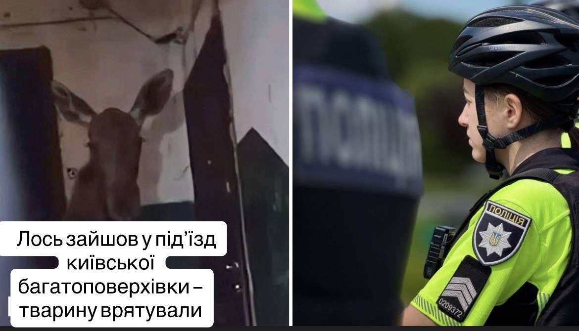 Все буде Україна
