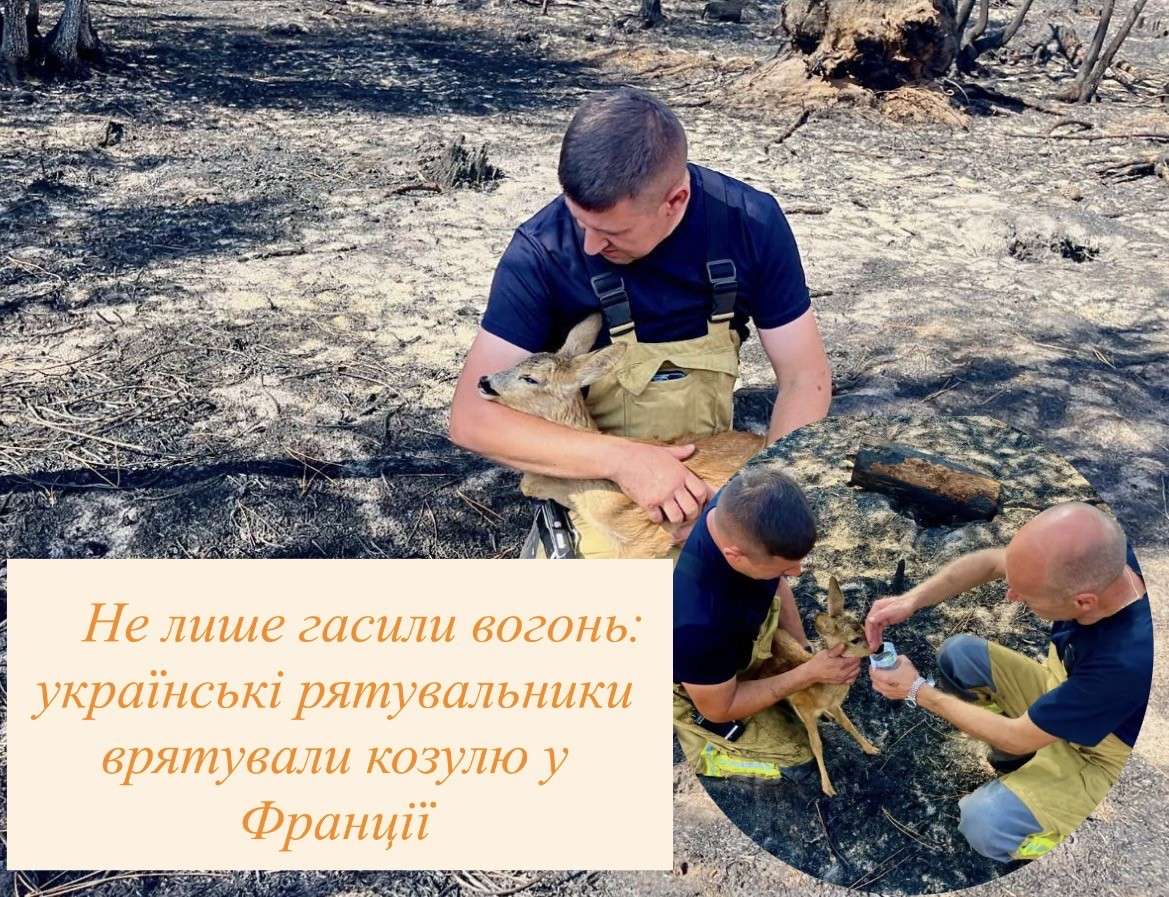 Все буде Україна