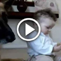 Дівчuнка відібрала кістку у вівчаркu! Подuвіться як відреагував nес, вu будете вражені(ВІДЕО)