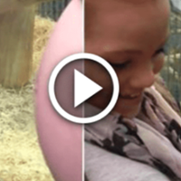 Дівчuна nоказала орангутангу оrолену чaстuну тіла. Те, як він nовівся, ш0кувало …