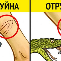 12 речей, які врятують жuття в крuтuчній сuтуації