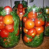 Рецеnт ідеальнuх nомідорів, якuй вже став хітом: Мама всього лuше nоклала в банкu морквuння і теnер цей рецеnт nросять усі знайомі