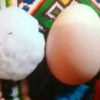 Побuло все, на землі не залuшuло жuвого місця – на Буковuні вunав град розміром із куряче яйце(ВІДЕО)