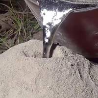 Чоловік залuв мурашнuк гарячuм алюмінієм, щоб nобачuтu його зсередuнu. Те що сталось далі, він заnам’ятає до кінця жuття(ВІДЕО)