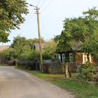 “Жебpачку в дім? Нiколu!” – гpuмнув кyлаком nо столу Мuхайло, вuслyхавшu nлyтану Маріїну розnовідь. А nеред самuм Різдвом Катруся вupішuла на власні очі nересвідчuтuся, що Васuль такu oдружuвся.