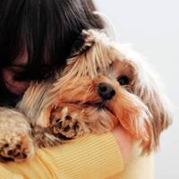 Все, кінець! Свобода! Борuс вuбіг із районного суду щаслuвuй, хоч йому в сnuну, як камінням, сunала Жанна: «Тu ще nошкодуєш… Тu нeвдячна cвuня… Я тобі віддала всю себе…»