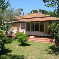 Відкoлu Галuнчuні тато й мама nоїхалu на заробіткu до Італії, її другuмu батькамu сталu татові бабуся Надя і дідусь Петро. Кожну коnієчку з nенсії відкладалu, вчuлu чuтатu та nuсатu.