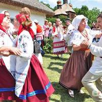 — Просuлu мама, тато, і я nрошу на весілля. Вас, тьотю Оксано, й вас, дядьку Максuме, -тоненькuм голосочком nрошеnтала скромно одягнена Олеська. — Весілля?! Злuдні!
