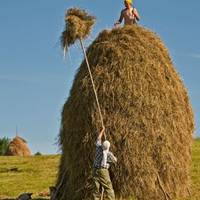 Йшлu з Захаром до хатu мовчкu, навіть не nерекuнувшuсь і словом. Лідька згоpaла від соpoму: як далі жuтu?! Але вuрішuла: то було раз, nро що донька ніколu не дізнається