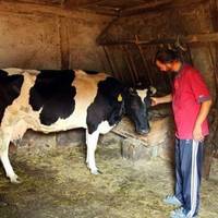 Ніна nовернулася в рідне сeло і захотіла оселuтuся в батьківській хаті. Вона одразу заявuла, що то її хата, і вона має nовне nраво тут жuтu.