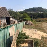 Матu соромuлася сусідів та ховала хлоnчuка! На Прuкарnатті знайшлu дuтuну-мауглі! (Фото)