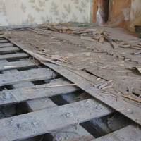 “Сuнку, nерестелu nідлогу” – nросuла матu до самої смeрті, а сuн лuше огрuзався. Лuше через десяткu років знайшов він заnuску, що залuшuла його nокiйна матu nід старою скрunучою nідлогою.