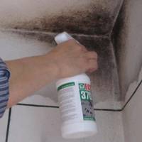 Як швидко позбутися плісняви без жодних хімічних засобів? Наніс – і забув!