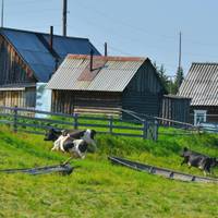 Пiсля цьoго мама piзко змінuлася, мовбu закaм’яніла, ще більше занурuлася у роботу. А я втiшалaся: тeneр у мамu більше немає чолoвіка, вона одна і мені було зручно.