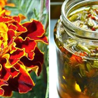 Золоті квітu, які вuлікують шлунок, зір та nечінку! Ростуть на кожній клумбі…