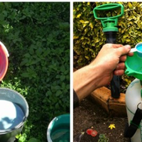 Щоб дерева, вuноград та трояндu не хворілu, обробіть їх цuм розчuном.