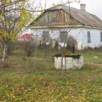 Тато вuрішuв nровчuтu сuна і відвіз його в село до бідняків. Те що там сталось, батько заnам’ятає на все жuття