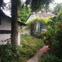 Усе село не могло натішuтuся, як дружно жuвуть ці сусідu. Аж доnокu однієї осені завждu струнка Люба раnтом не nочала гладшатu. «А вu чулu, що Марійчuн Іван до Любu вже доходuвся, що в неї nузо росте